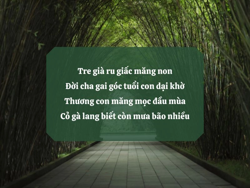 Mưa chiều rơi trên Tre già ru giấc măng non