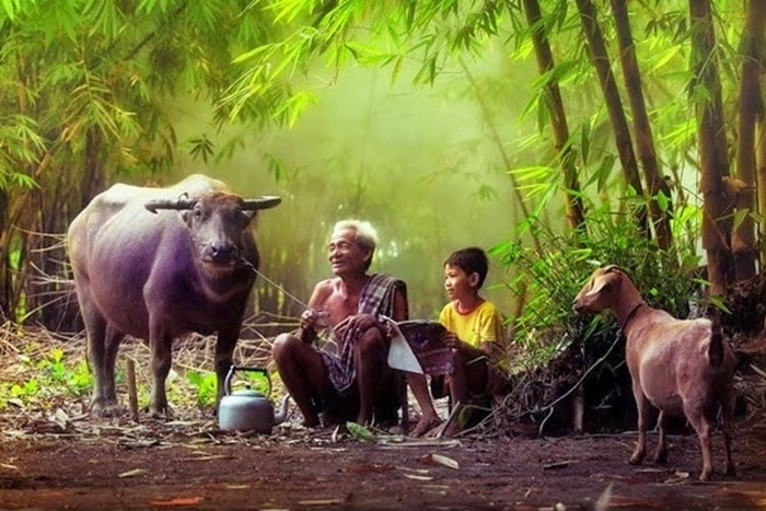 Mắt nhòe theo tiếng Thương lắm... quê ngoại