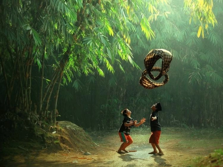 Thân gầy kiên cường Tre