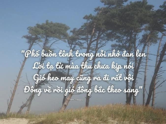 Từng cảm xúc ngân vang trong Thơ về gió