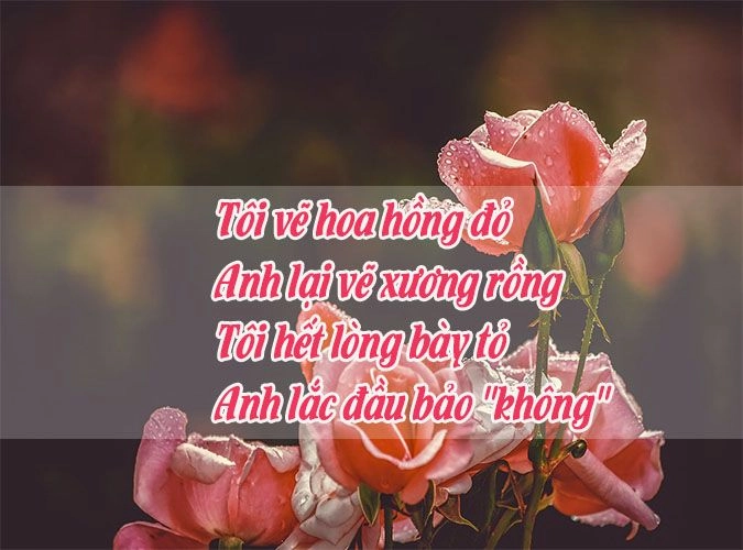 Tim thổn thức vì một Tình Hồng
