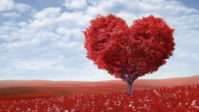 Trái tim vẫn nhói vì Đã qua rồi