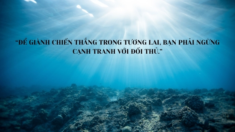 Tóm tắt sách Chiến Lược Đại Dương Xanh: Bài học kinh doanh đột phá.
