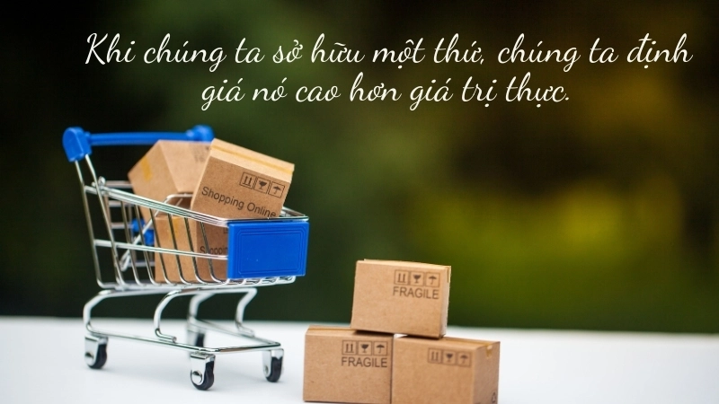 Phi Lý Trí sách nói: Nghe để hiểu quyết định phi lý trí.
