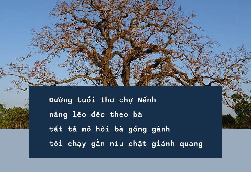 Bắc Giang đất mẹ yêu thương lặng lẽ bên chiều nắng phai