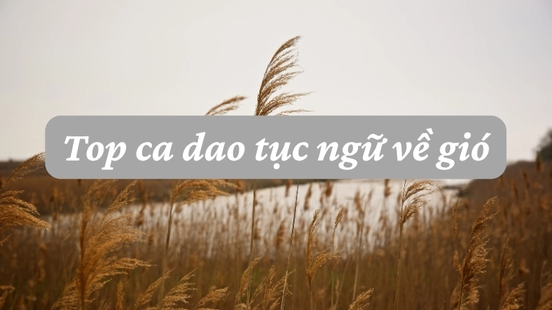 Top ca dao tục ngữ về gió