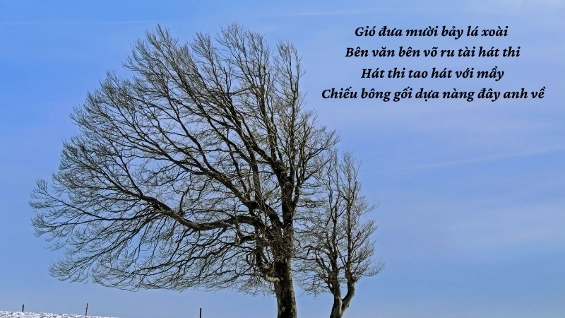 Gió đưa mười bảy lá xoài Bên văn bên võ ru tài hát thi