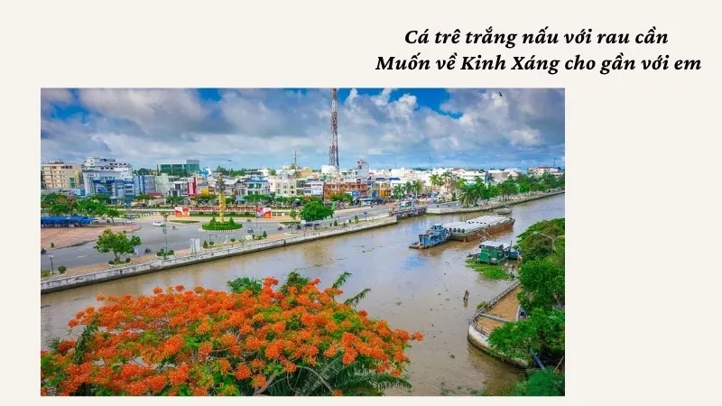 Cá trê trắng nấu với rau cần Muốn về Kinh Xáng cho gần với em