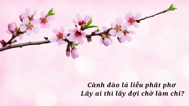 Cành đào lá liễu phất phơ Lấy ai thì lấy đợi chờ làm chi?