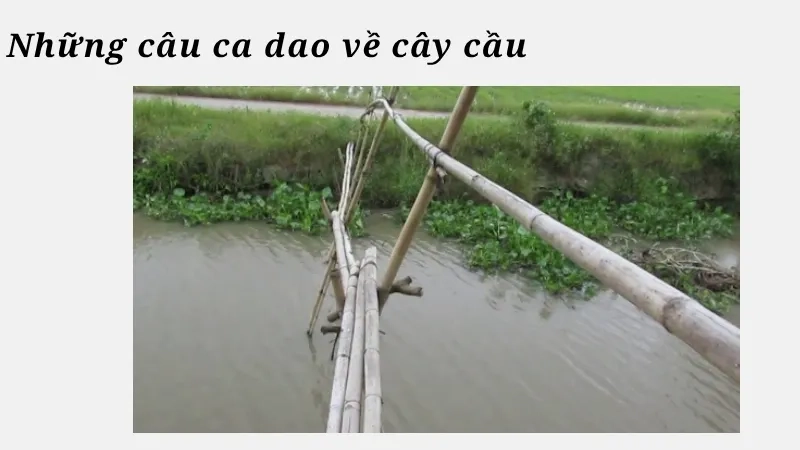 Những câu ca dao về cây cầu
