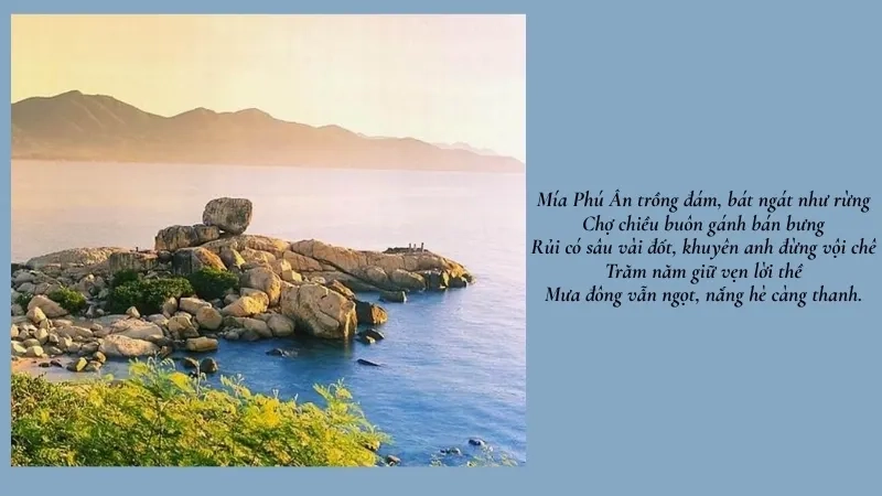 Mía Phú Ân trồng đám, bát ngát như rừng Chợ chiều buôn gánh bán bưng