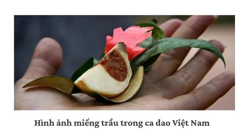 Hình ảnh miếng trầu trong ca dao Việt Nam