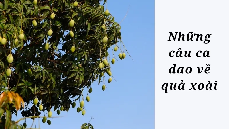 Những câu ca dao về quả xoài