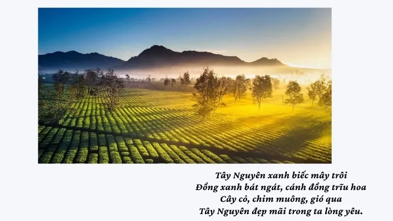 Tây Nguyên xanh biếc mây trôi Đồng xanh bát ngát, cánh đồng trĩu hoa