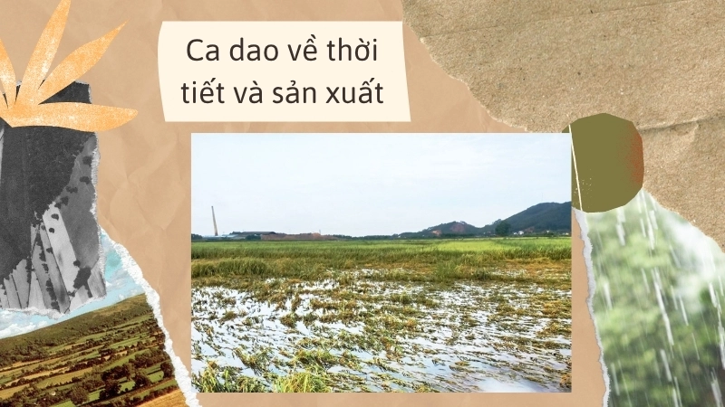 Ca dao về thời tiết và sản xuất