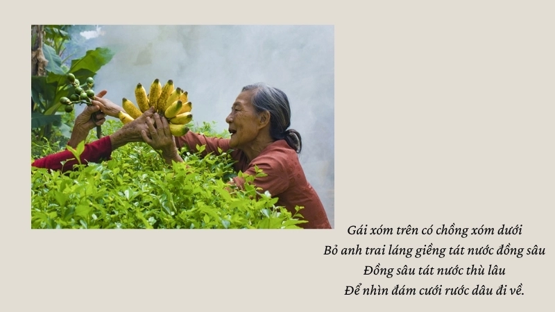 Gái xóm trên có chồng xóm dưới Bỏ anh trai láng giềng tát nước đồng sâu