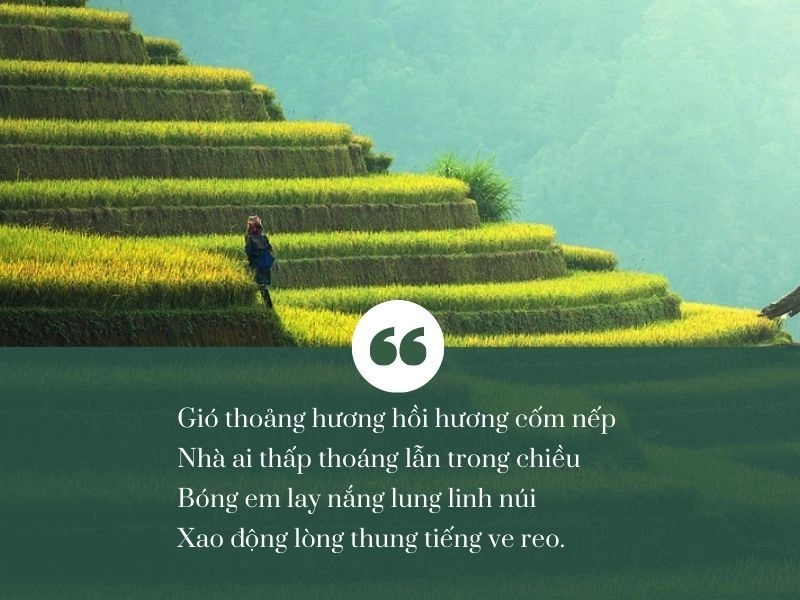 Bình minh lấp lánh Cao Bằng 3 mờ sương