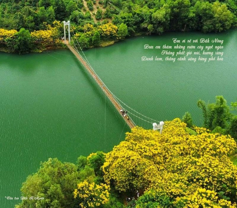 Đắk Nông tôi yêu ngập tràn màu xanh đại ngàn