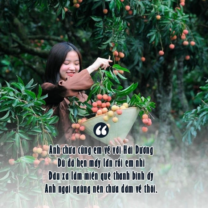 Thơ chan chứa tình Hải Dương