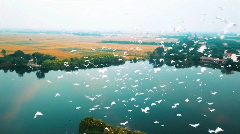 Hoài niệm xưa Hải Dương 1983
