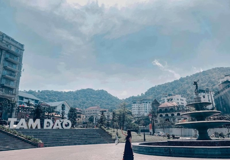 Rực nắng dịu dàng Tam Đảo một ngày hè xanh