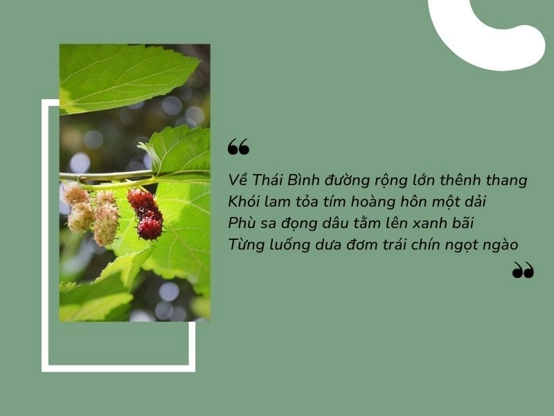 Dịu dàng duyên dáng em là cô gái Thái Bình