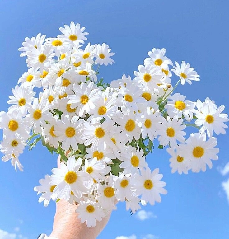 Mộng và thực cùng viết không đề tháng mười