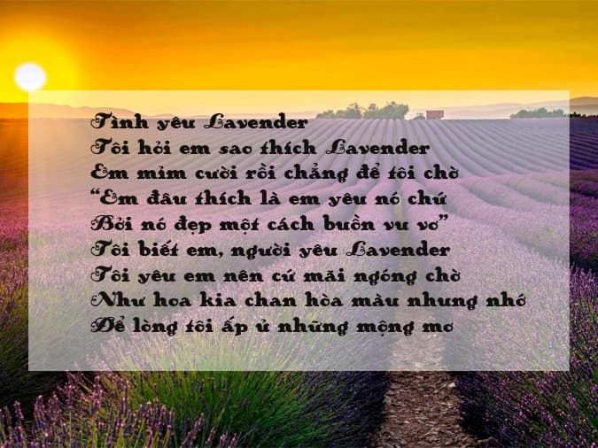 Lãng đãng chiều nay sắc tím