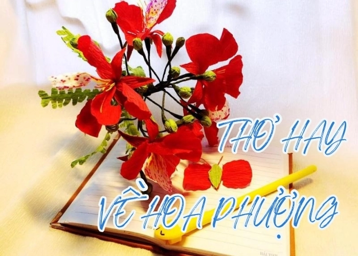 Thơ về hoa phượng nồng nàn Tháng năm