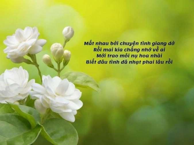 Nhẹ nhàng e ấp Muốn nói với anh