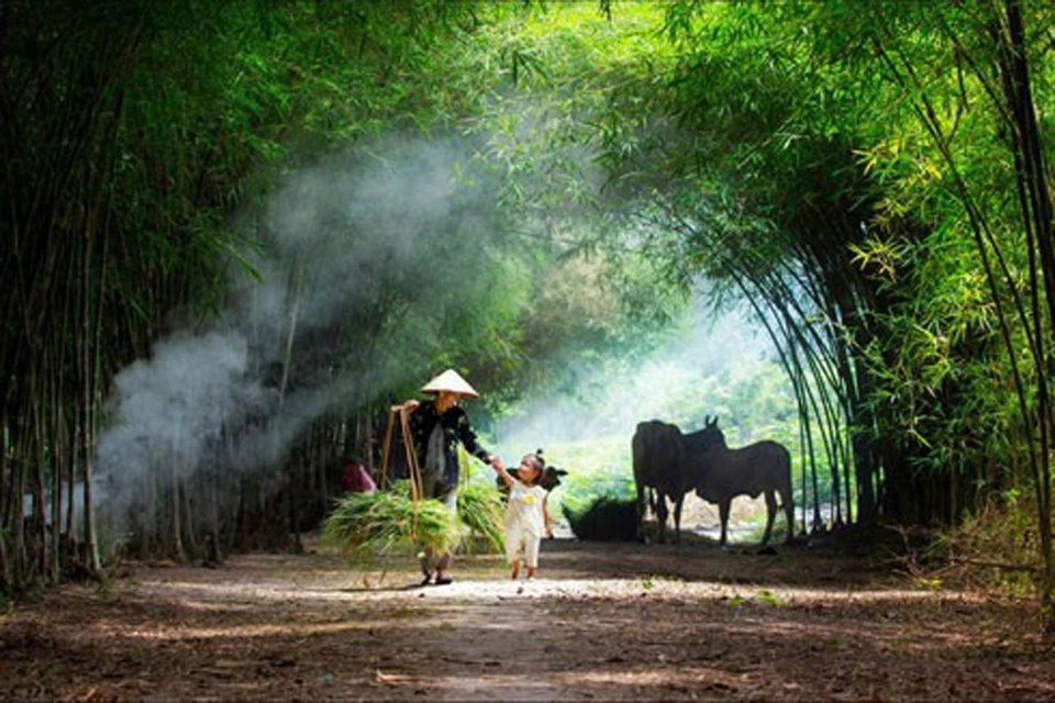 Gió hát quanh Bóng tre đầu làng xanh ngát