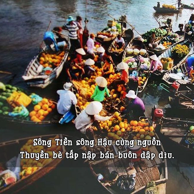 Hương xuân ngọt lịm qua mùa xuân trên sông Tiền