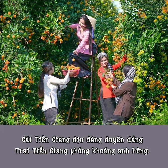 Se lạnh dịu dàng Gò Công chiều mùa đông