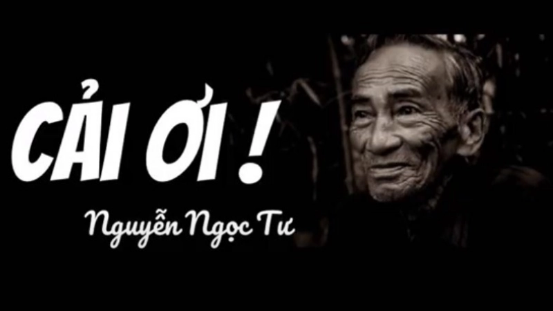 Tóm tắt truyện Cải ơi theo từng đoạn đơn giản, ngắn gọn