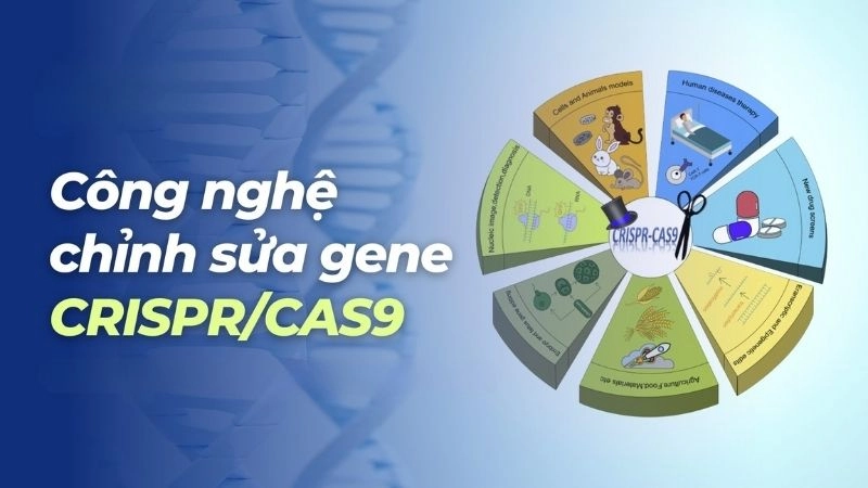 Công nghệ chỉnh sửa gen CRISPR