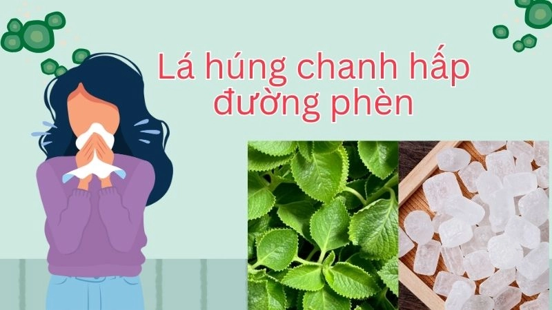 Lá húng chanh hấp đường phèn – Chỉ 15 phút là hết ho 