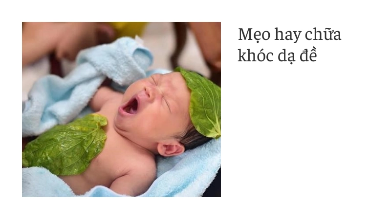 Bài thuốc quý mẹo dân gian chữa khóc dạ đề